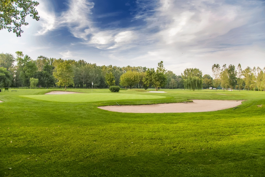 lush green golf course with sand pits and tall trees in the background